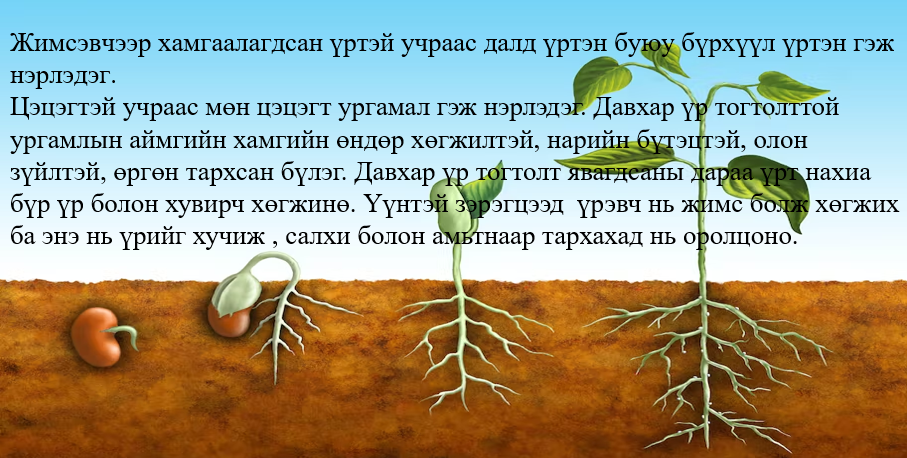 Мэдлээ | Цахим контент